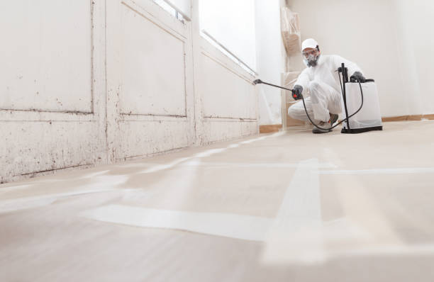 24/7 Emergency Mold Remediation experts in North Hornell, NY