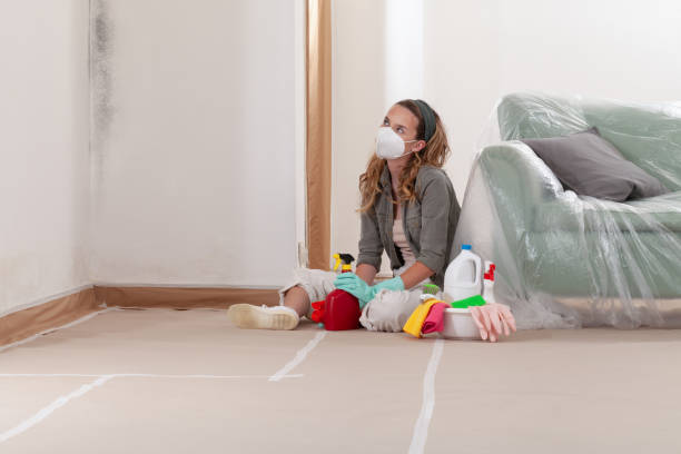 Reliable Mold Remediation contractor in North Hornell, NY by 24 Hour Mold Removal